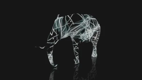 Elephant 360 · 4